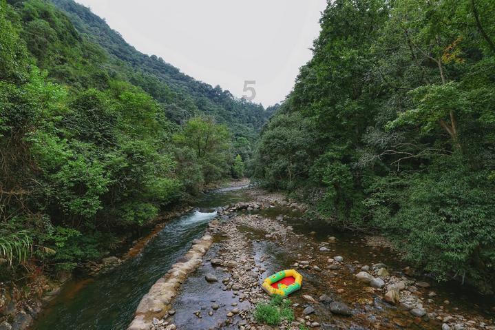 外星小怪大冒险
